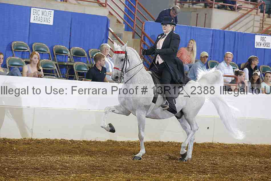 Proof 13r12_2388