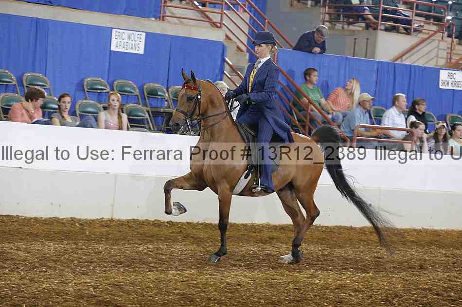 Proof 13r12_2389