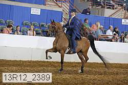 13r12_2389 proof