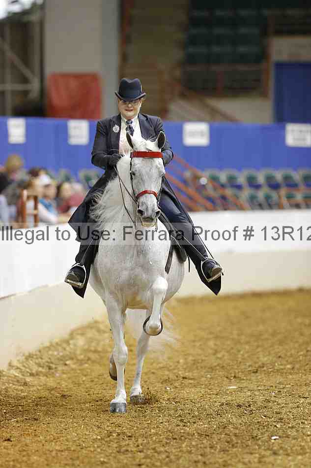 Proof 13r12_2390