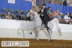 13r12_2391 proof