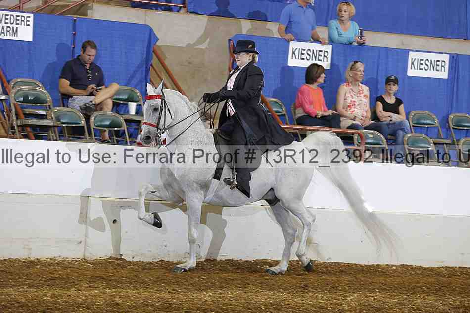 Proof 13r12_2392