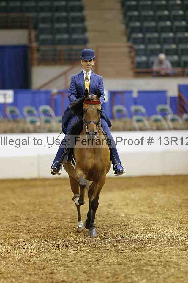 Proof 13r12_2393