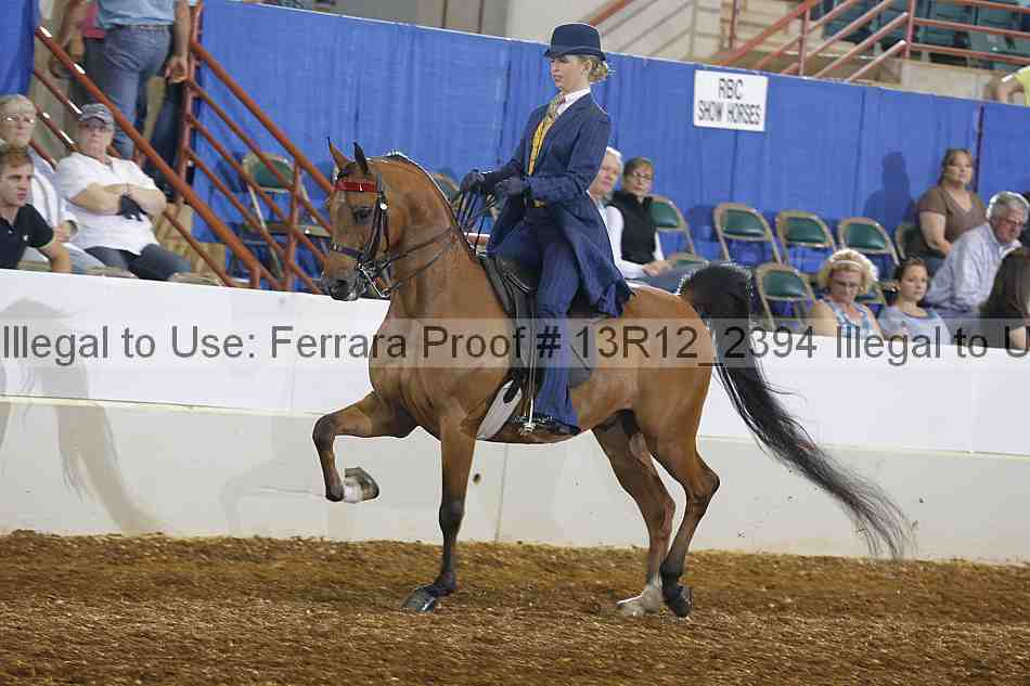 Proof 13r12_2394