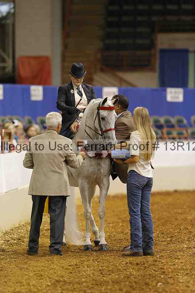 Proof 13r12_2396