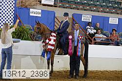 13r12_2398 proof