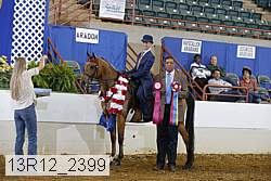 13r12_2399 proof