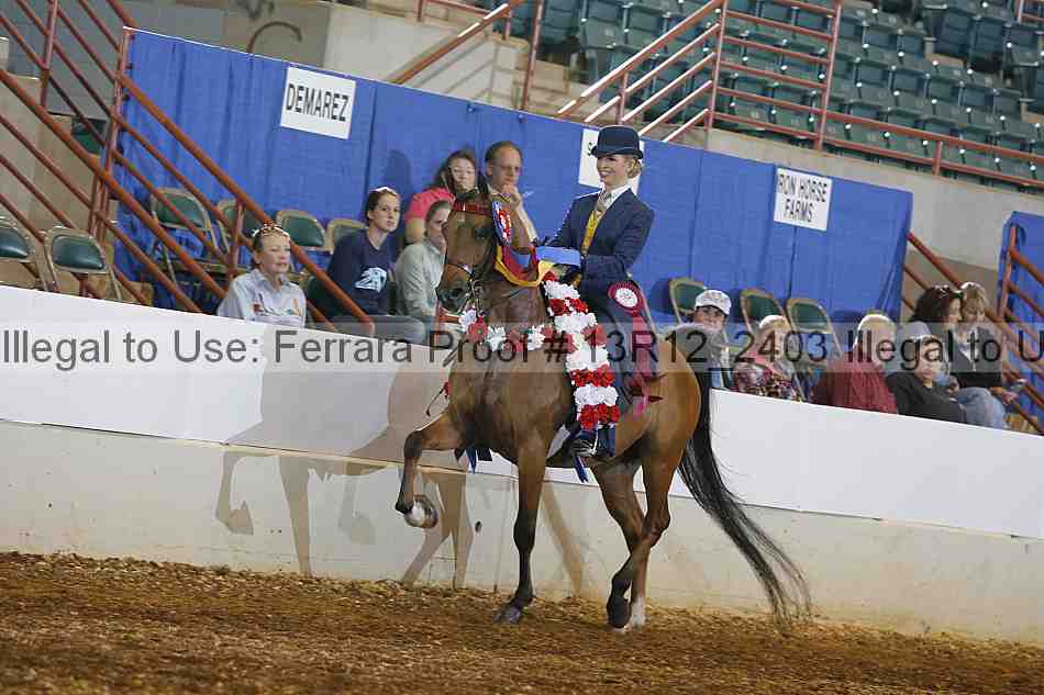 Proof 13r12_2403