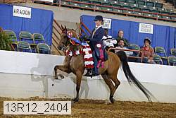 13r12_2404 proof