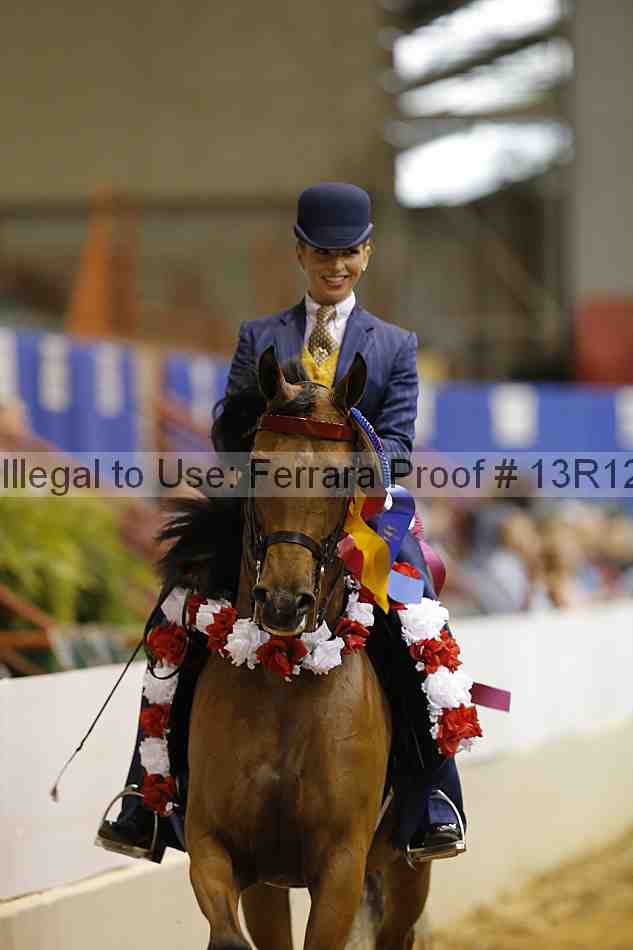 Proof 13r12_2406
