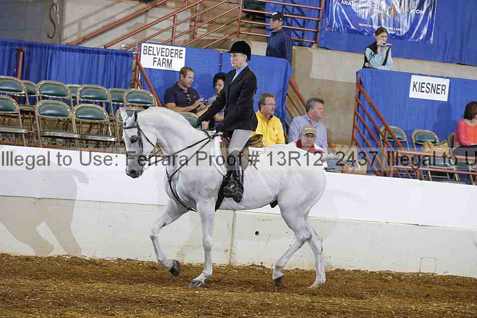 Proof 13r12_2437
