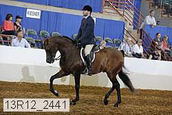 13r12_2441 proof