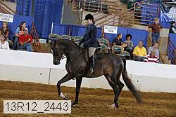 13r12_2443 proof