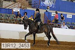 13r12_2453 proof