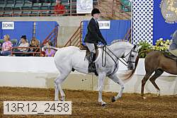 13r12_2458 proof