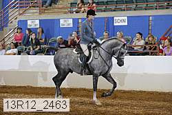 13r12_2463 proof
