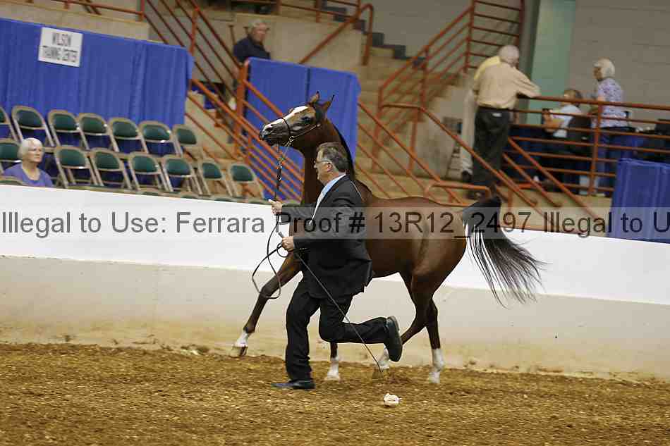 Proof 13r12_2497
