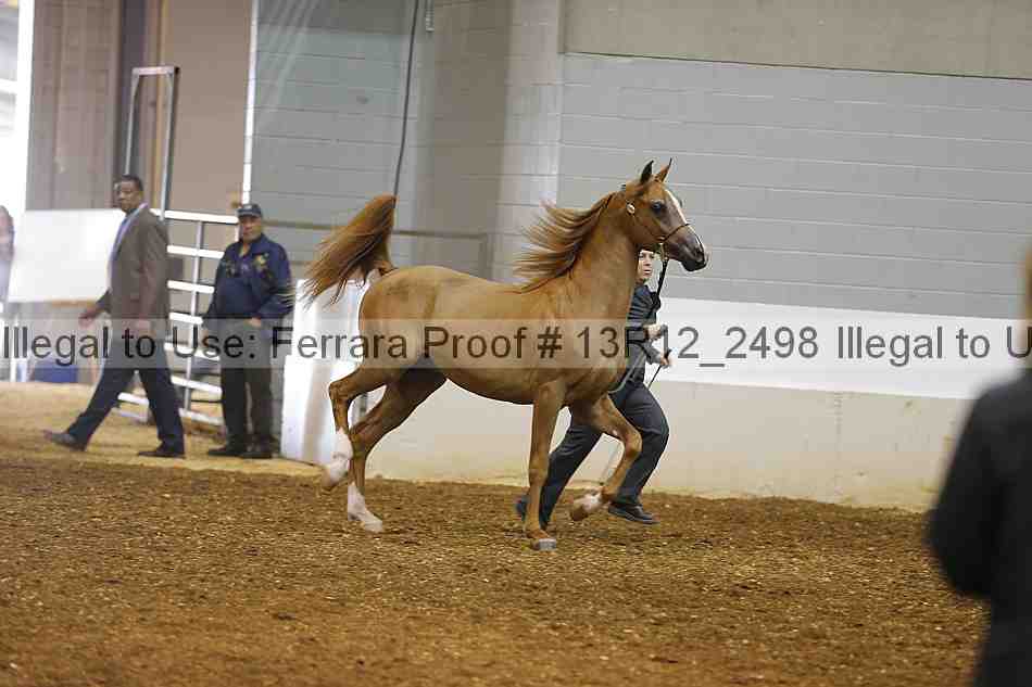 Proof 13r12_2498