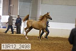 13r12_2498 proof