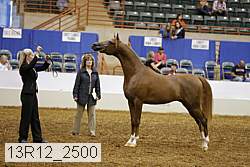 13r12_2500 proof