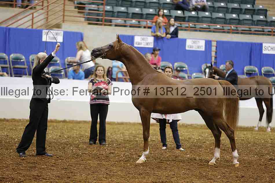 Proof 13r12_2501