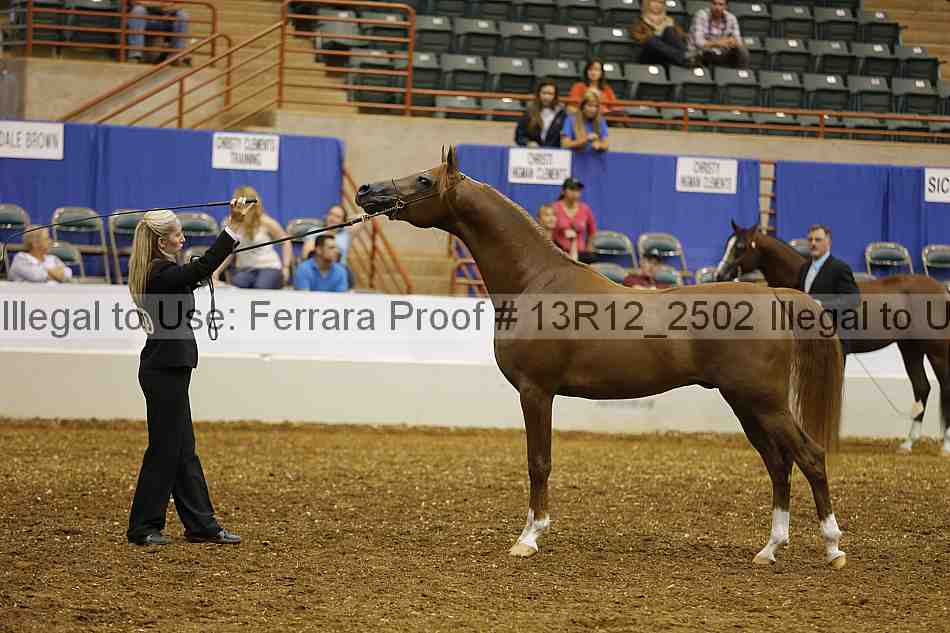 Proof 13r12_2502