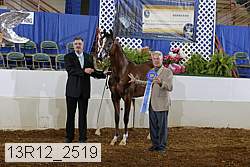 13r12_2519 proof
