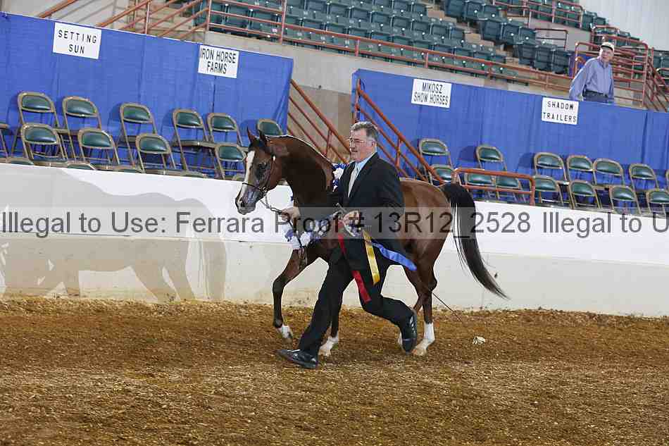 Proof 13r12_2528