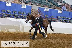 13r12_2528 proof