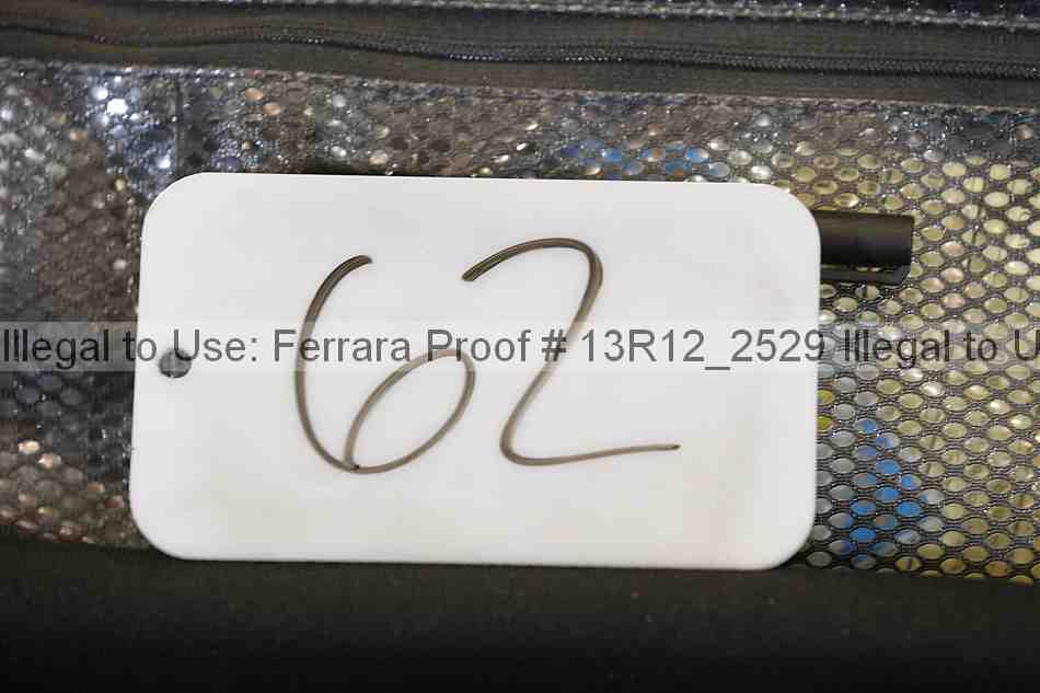 Proof 13r12_2529