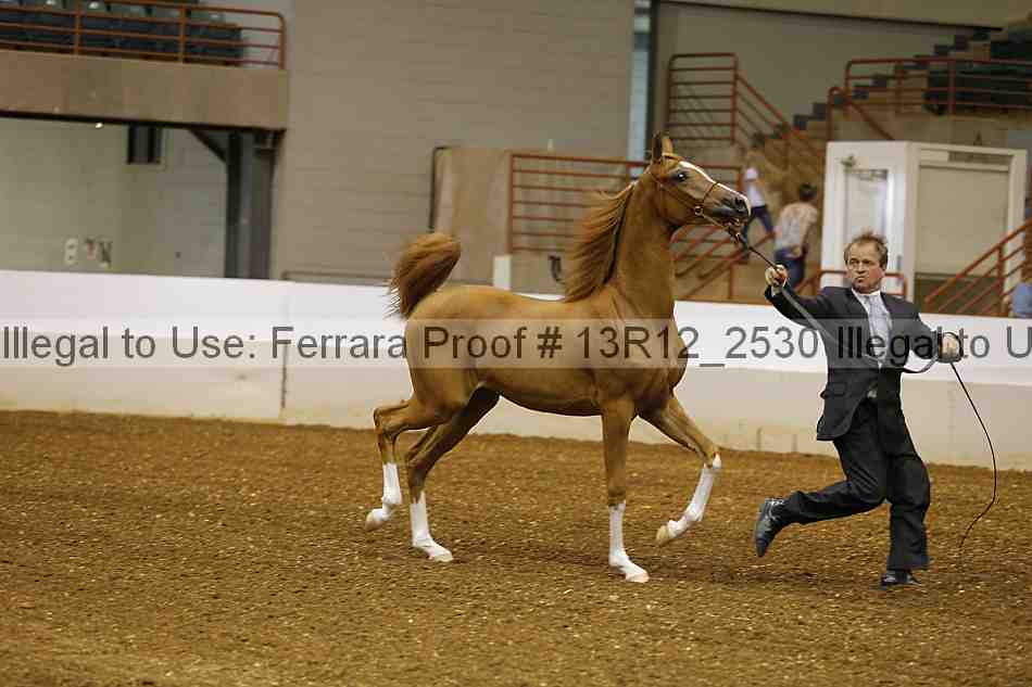 Proof 13r12_2530
