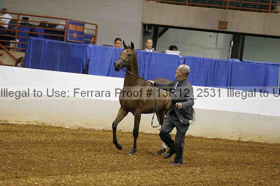 Proof 13r12_2531