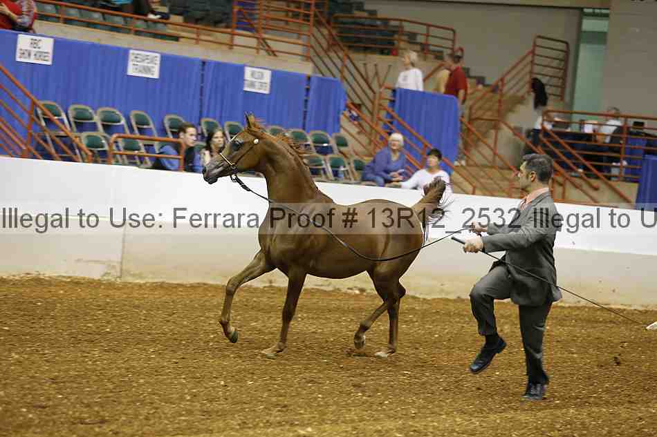Proof 13r12_2532