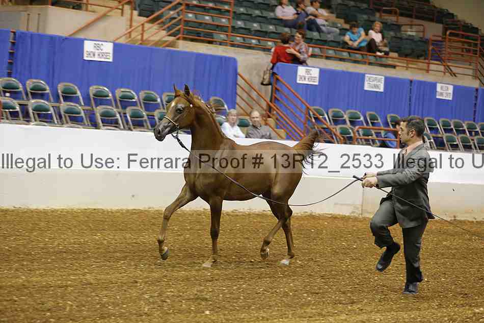 Proof 13r12_2533