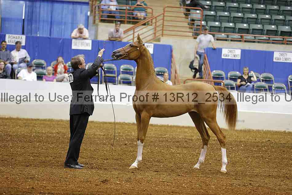 Proof 13r12_2534