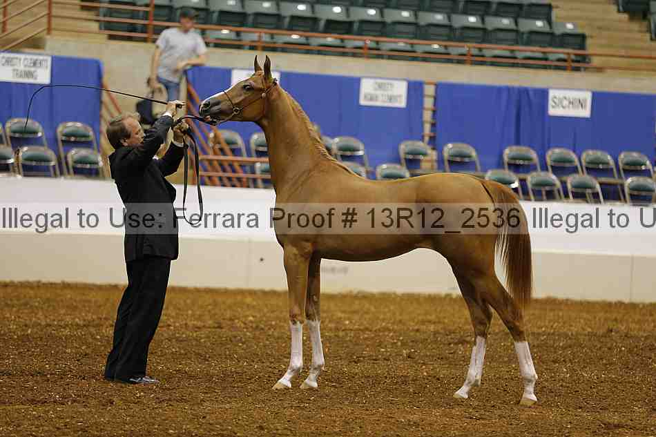 Proof 13r12_2536