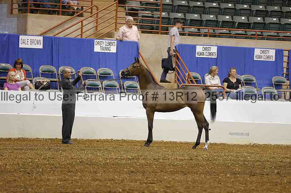 Proof 13r12_2537