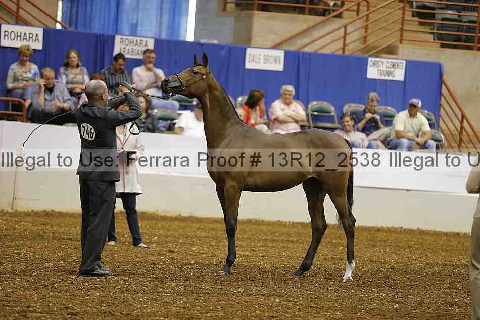 Proof 13r12_2538