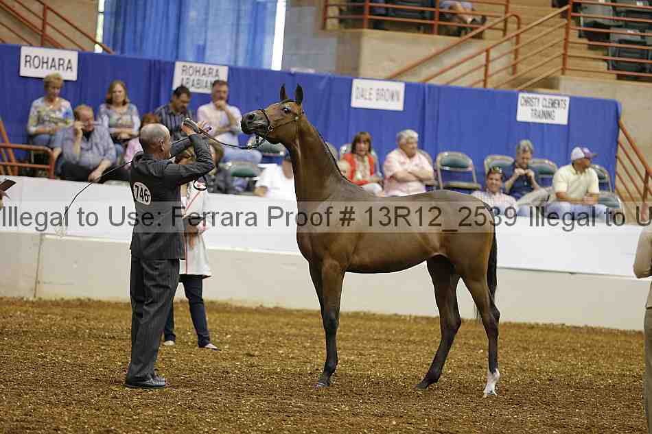 Proof 13r12_2539