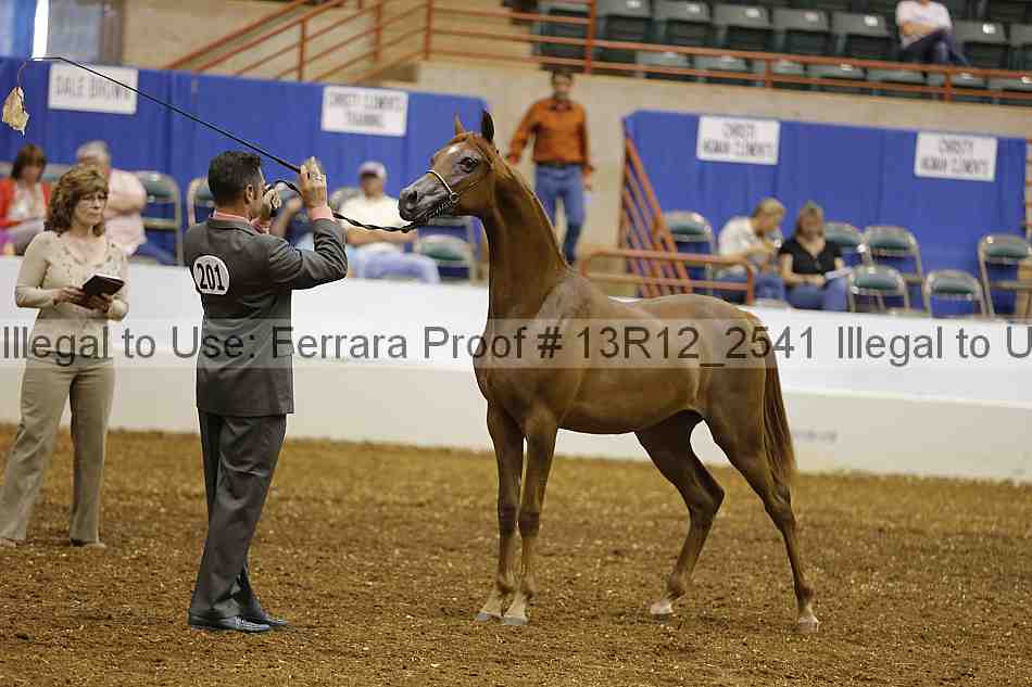 Proof 13r12_2541