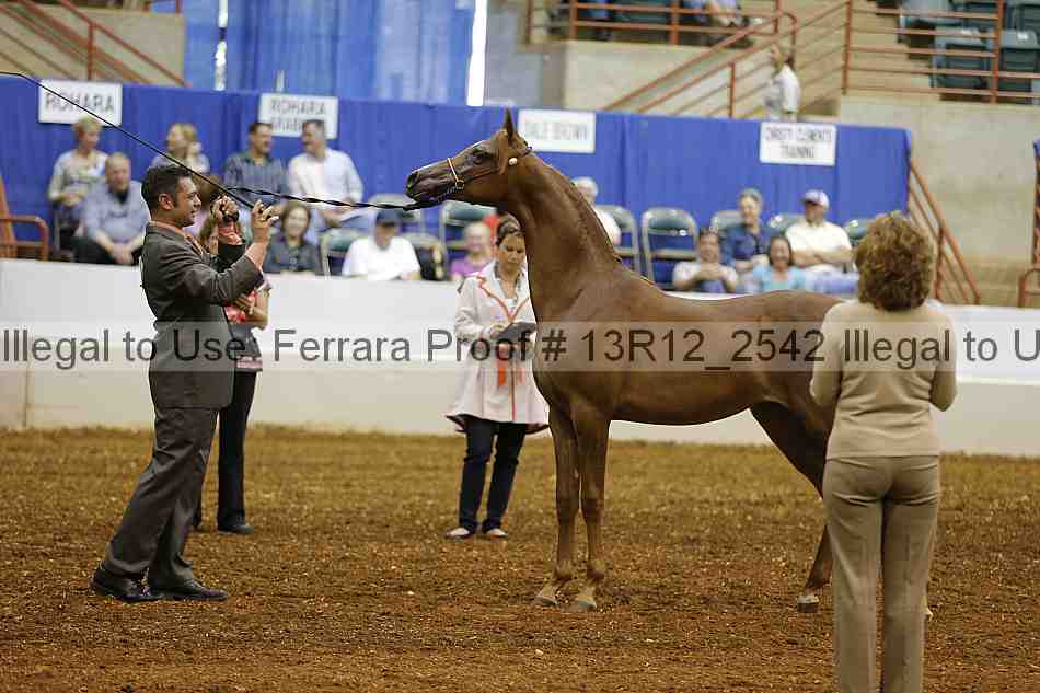 Proof 13r12_2542