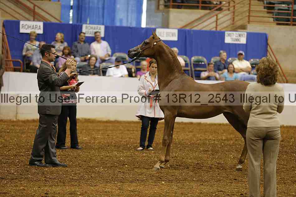 Proof 13r12_2543