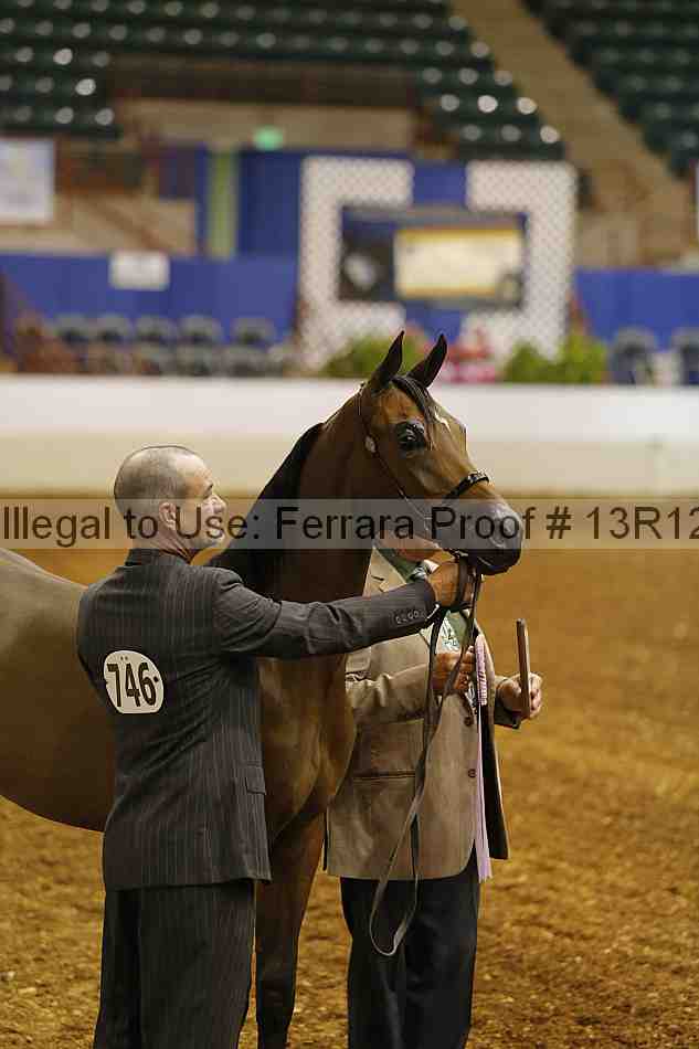 Proof 13r12_2545