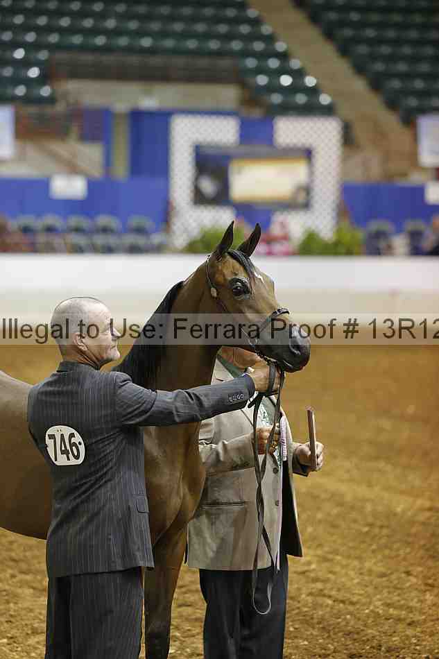 Proof 13r12_2546