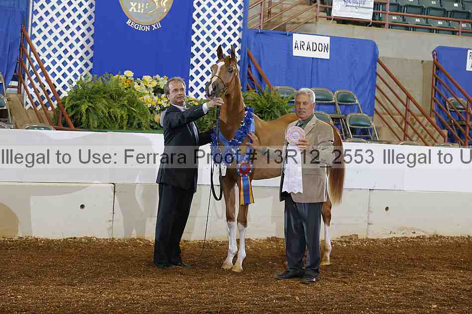 Proof 13r12_2553