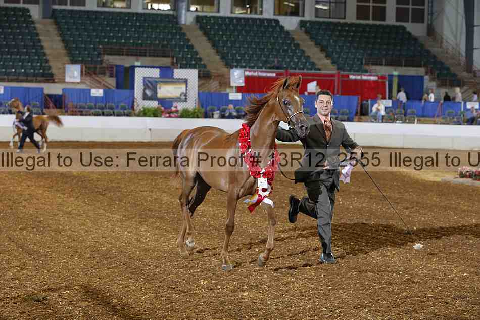 Proof 13r12_2555