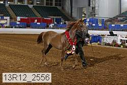 13r12_2556 proof