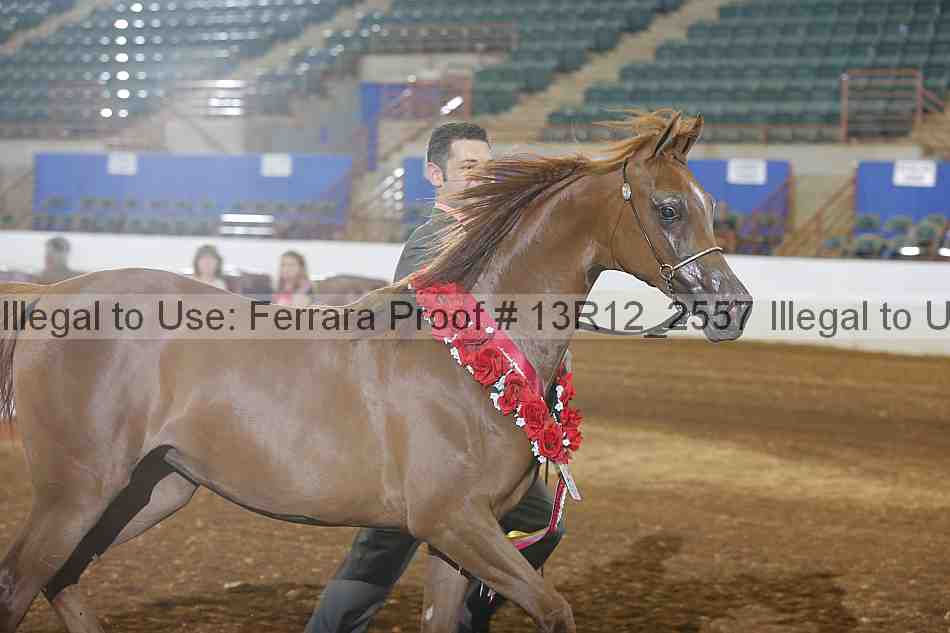 Proof 13r12_2557