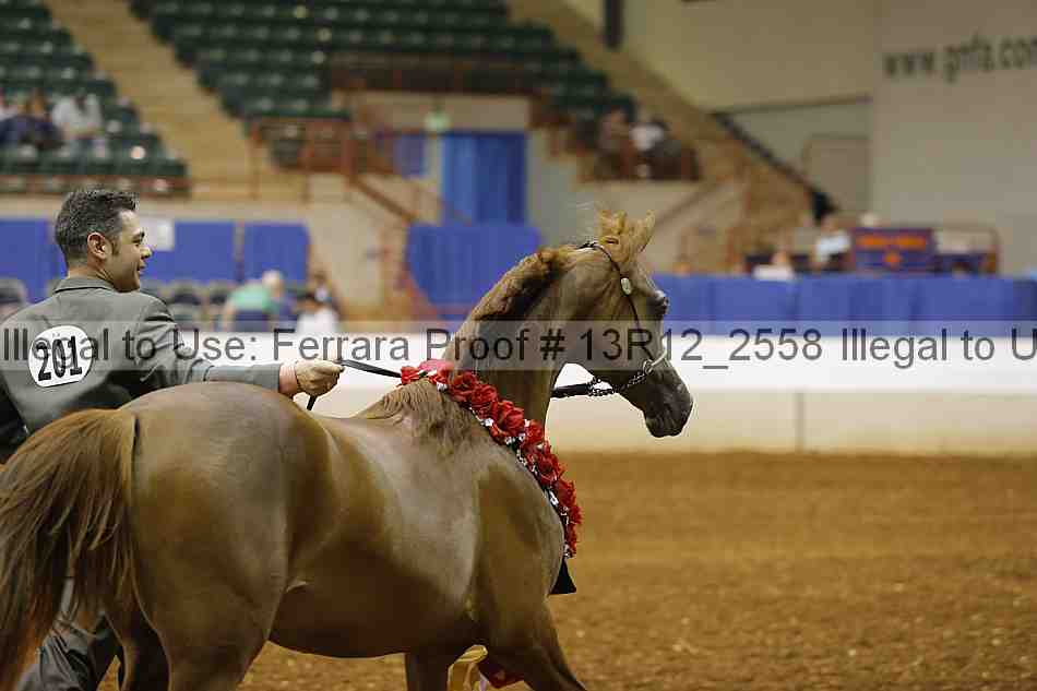 Proof 13r12_2558