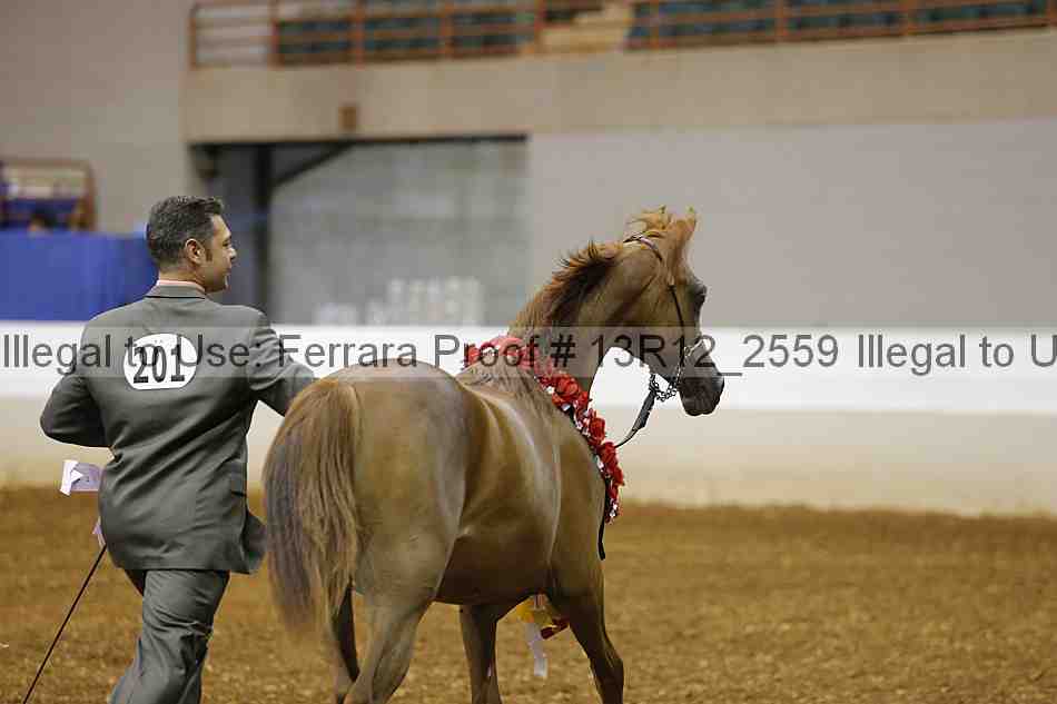 Proof 13r12_2559